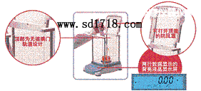 ������M����ƽ,4100g,0.1g